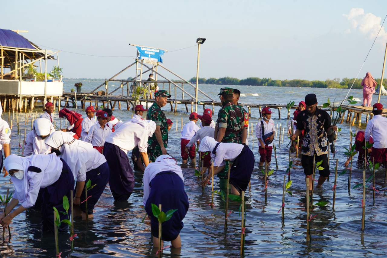 Tanam Bibit Pohon Mangrove Aksi Nyata Perbaiki Lingkungan