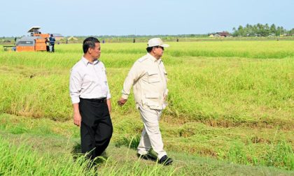 Tinjau Langsung Panen Padi